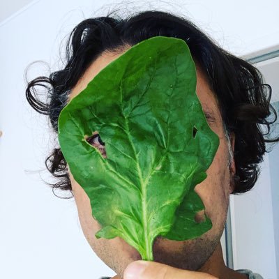 FelipeLodi's profile picture. 💾 Engineering Software for 30Y 🥑 Vegan 🐬 Animal Lover 🌍 Protectionist 🧑🏽‍🚀 Space Cowboy 🇩🇪 Ich Lerne Deutsche 🇫🇷 et Français 📙 Author 🔑 DeFi Crypto