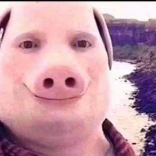 ZackOrtiz7's profile picture. Me gusta vivir.