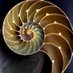 RT Shell (read pinned) (@hypnoshellrt) Twitter profile photo RT Shell (read pinned) (@hypnoshellrt) Twitter profile photo