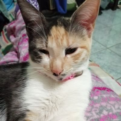 Betty