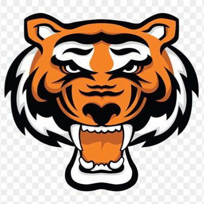 Rawlings Tigers Boschert - C/O 2028 Profile