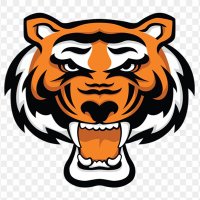 Rawlings Tigers Boschert - C/O 2028 (@tigersboschert) 's Twitter Profile Photo Rawlings Tigers Boschert - C/O 2028 (@tigersboschert) 's Twitter Profile Photo