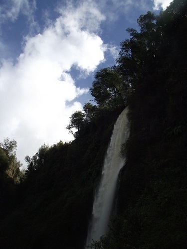 canaldelsurchil's profile picture. 