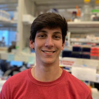 _davidrocco's profile picture. Cell Bio & Physiology PhD candidate, UNC