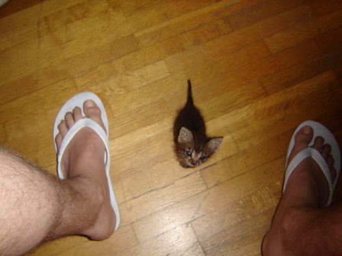 jackdawson77's profile picture. 