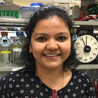 Margaret Phillips (@mphillips2506) 's Twitter Profile