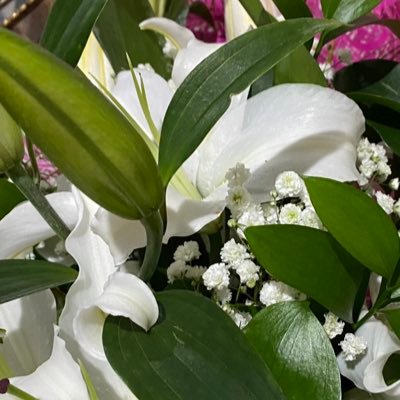 lolam1608's profile picture. 