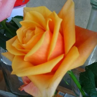 evORY8DpUn92sXJ's profile picture. 