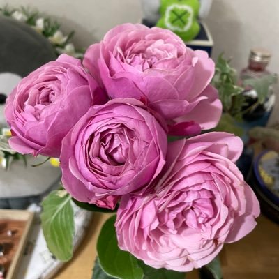 akiraweb4's profile picture. webデザイン勉強中です！