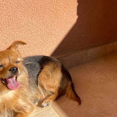 carmenlopeez__'s profile picture. 🫶🏽✨🌷💕