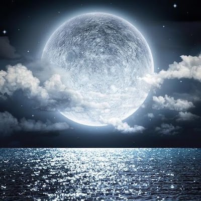 KaydenSpence1's profile picture. 