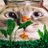 まくわうりのアイコン