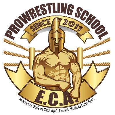 E.C.A : École de Catch AYA - Lyon & Rumilly - Rhone Alpes - France

French Pro Wrestling School based in Lyon - France