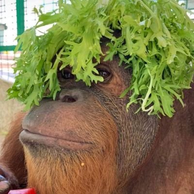 CARL4XY's profile picture. CARLAXY