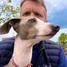 craftyfella's profile picture. F#, C#, golang and typescript Developer. ex @equalexperts. Now working on the JVM for MnS oh and a big LH44 fan
