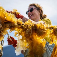 Dr. Tiff Stephens (@ecophyte) 's Twitter Profile Photo