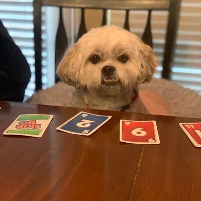 justSteph80's profile picture. 