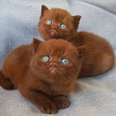 mizaoji06149796's profile picture. 