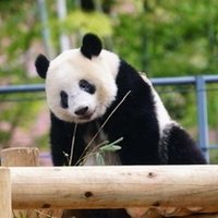 のろすけ (@norosuke_777) 's Twitter Profile Photo