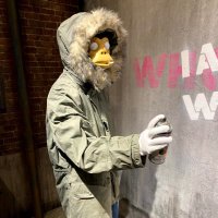 BB (@bb06579357) Twitter profile photo