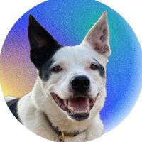 g0rd0n (@g0rd0n__) 's Twitter Profile
