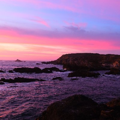 raygunn13's profile picture. Standing on the shoulders of Giants