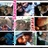 _MrsRayson14's profile image