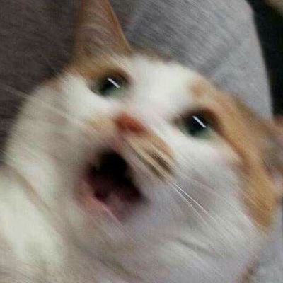 Sudarat13264924's profile picture. ........