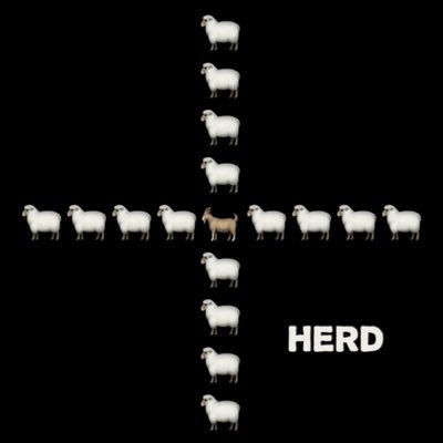 NEW ALBUM ‘HERD’ AVAILABLE EVERYWHERE NOW