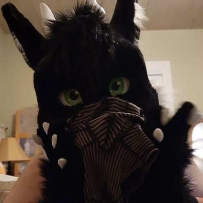 18+ of @shadowisfurred ||Texas furry||very lewd and loves some musky undies~|| currently 23