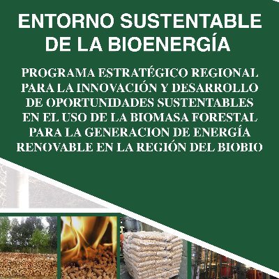 Difusión Programa FIC Biobío sobre uso Biomasa para Energía