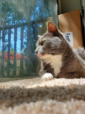 ariam626's profile picture. 