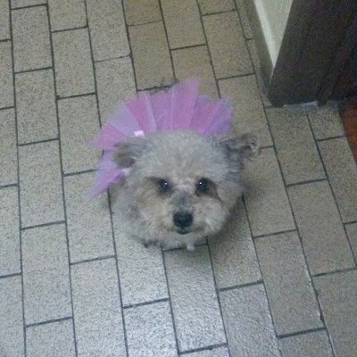 SaadTelva's profile picture. 