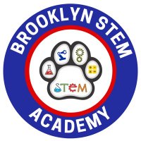 Brooklyn STEM Academy(@brooklyn_stem) 's Twitter Profileg