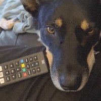 mick (@gothecrow) 's Twitter Profile