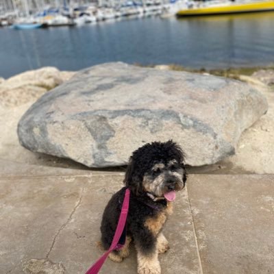 thetherapywitch's profile picture.