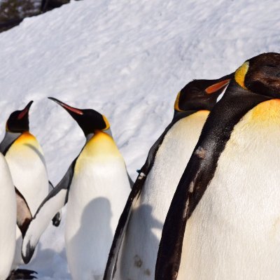 Ax73Yt's profile picture. IT業界に入って5年目のエンジニアです。調査したり開発したりテストしたりしていました。その前は教員やってました。今は派遣されて、PLやったりAzure触ったりしています。客先常駐に疲れました… AZ-900/AWS SAA/NW/DB/SC取得