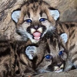 th_jrs's profile picture. To see the truth realistically...

August3