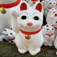 ひでりん 🐾（消費税·インヴォイスは廃止！） (@hiderin_reiwa) Twitter profile photo