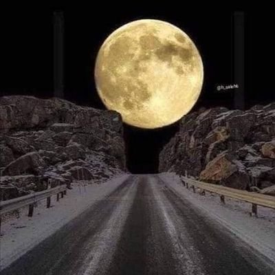 لا تراهنون بسقوطي  انا هنا مازلت متوهج أمتلك ارواحاً بعدد شعر روؤسكم..
