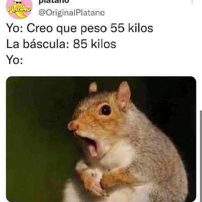 roberto_galavis's profile picture. 