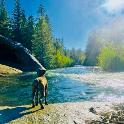 Stokology's profile picture. 