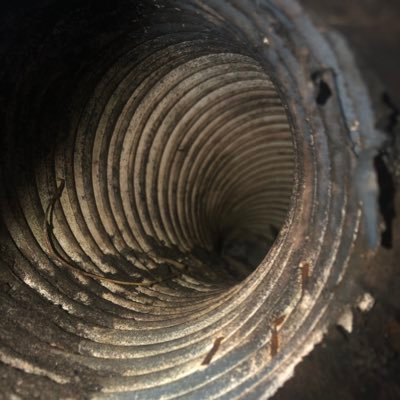 translatisfy's profile picture. another black hole account that doesn’t matter