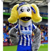 FPL_Sally (@fpl_sally) 's Twitter Profile
