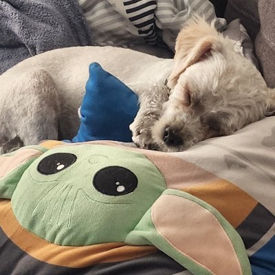 Murcaba76's profile picture. 