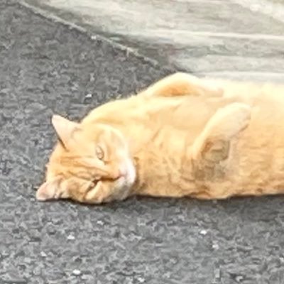 リルさんのプロフィール画像