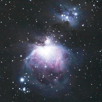 anemone0318's profile picture. 