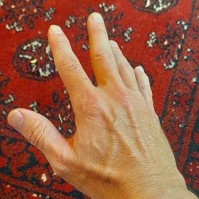 mossies351's profile picture. 