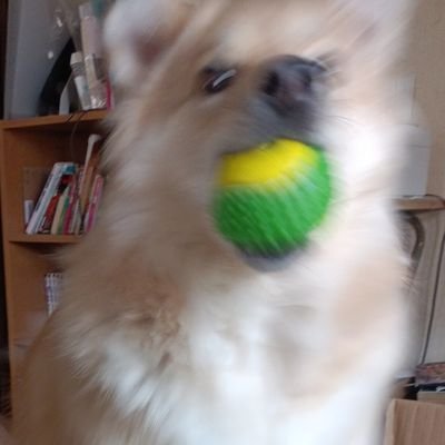 tunatarou701's profile picture. つななな