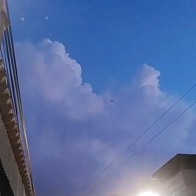 sunnyday2612's profile picture. 